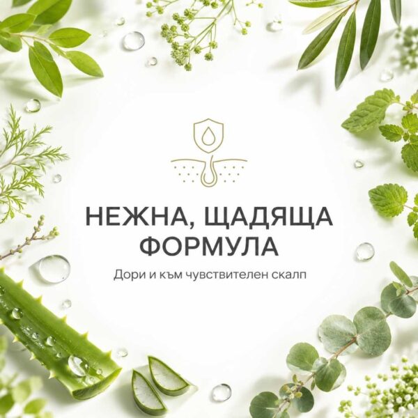 Нежна формула на хидратиращ шампоан Kalianto за чувствителен скалп